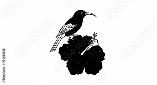 A black bird with a curved beak perches on a dark hibiscus flower