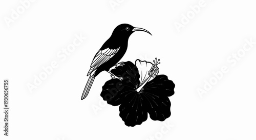 A black bird with a long beak perches on a dark hibiscus flower