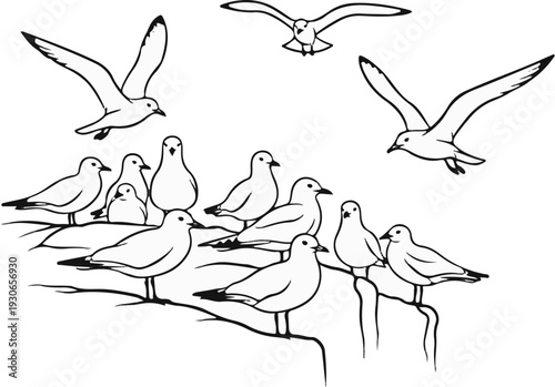 A flock of birds perched and flying, depicted in a simple line drawing