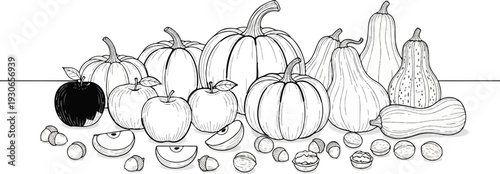 Assortment of pumpkins, apples, nuts, and gourd slices on a white background