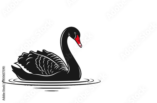 A black swan with white wing details floats serenely on rippling water