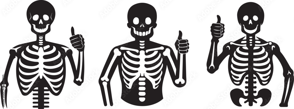 Naklejka premium Skeleton Thumbs Up SVG – Funny Skeleton Hand Clipart, Halloween Bone Art & Gothic Human Skeleton Vector .