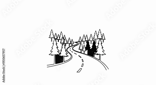 A winding road curves through a dense forest of pine trees
