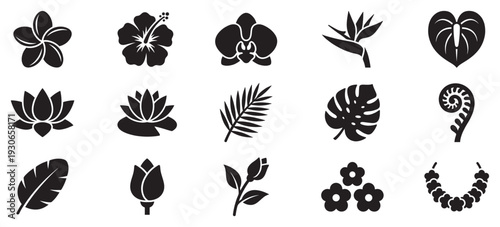 Tropical flowers and leaves icons in a beautiful collection of botanical silhouettes perfect for various design projects.