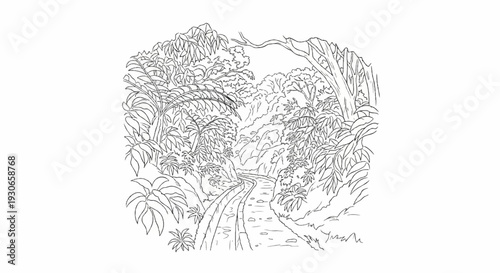 A winding stream flows through a dense forest, bordered by lush vegetation and rocky hills