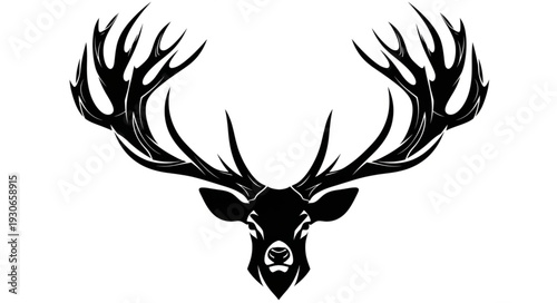 Deer Head with Large Antlers Illustration.