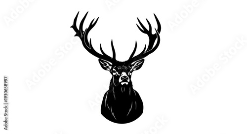 Deer Head with Large Antlers.