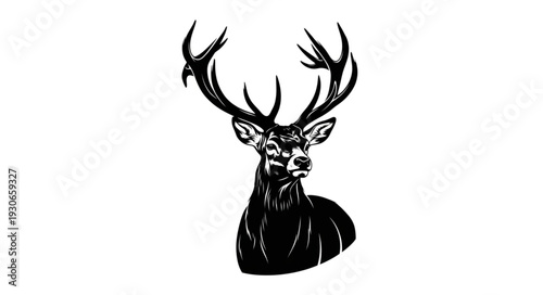 Deer Head with Antlers Illustration.