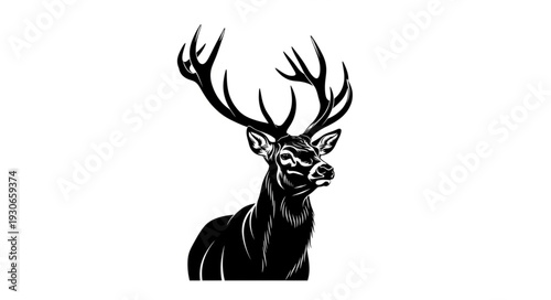 Deer Head with Antlers Illustration.