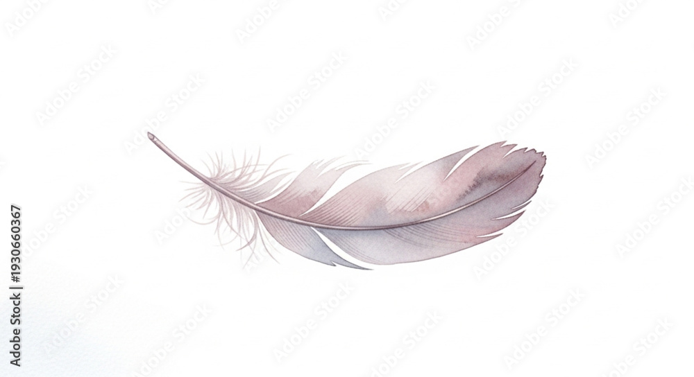 Obraz premium Delicate Feather Floating Gracefully Isolated on White Background.