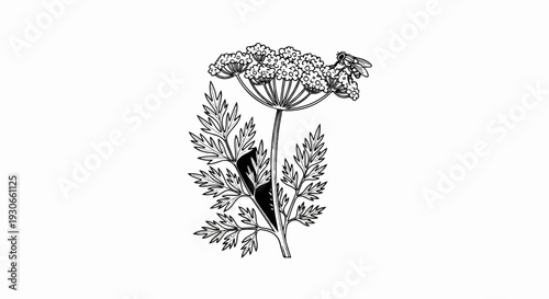 Detailed illustration of a flowering plant with intricate leaves and a small insect