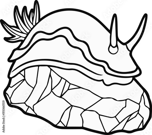 Detailed illustration of a nudibranch on a textured surface