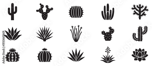 Various cacti and succulent plants are presented as a diverse collection of minimalist black silhouette icons for design projects.