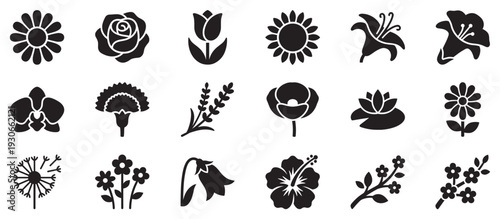 Elegant flower icons collection featuring a diverse range of beautiful botanical silhouettes perfect for various design projects and graphic elements.