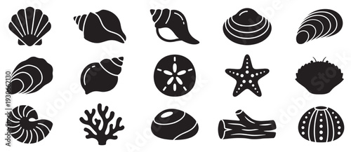Various marine life and seashell icons set featuring diverse ocean elements and beach treasures for design projects.