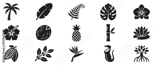 Tropical plants and fruits icons set representing exotic flora and edible produce in a simple silhouette style.