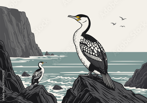 Seabirds perched on rocky shores overlooking the ocean waves, showcasing their distinctive plumage and keen eyes