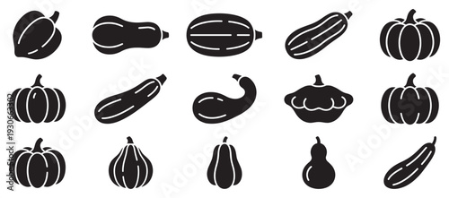 Various gourds and squashes vegetable icons collection showcasing diverse shapes and sizes of healthy produce for autumn harvest designs.