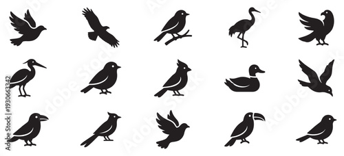 Various bird icons collection featuring diverse species and poses, perfect for nature, wildlife, or environmental design projects and applications.