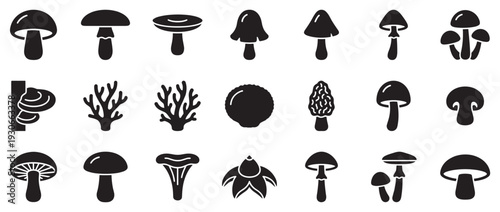 Various mushrooms and fungi silhouettes represent a diverse collection of edible and wild species found in nature.