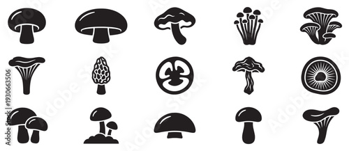 Various mushrooms and fungi icons in a collection of different shapes and sizes for culinary and natural themes.