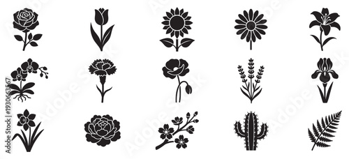 Various plant and flower silhouettes collection featuring diverse botanical elements for design projects and natural themes.