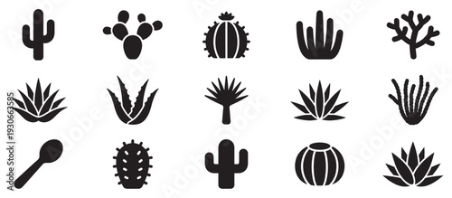 Diverse collection of desert plant icons showcasing various types of cacti and succulents in a clean, minimalist style.