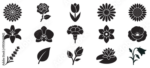 Various flower icons and floral silhouettes illustrate a diverse collection of beautiful blossoms and natural elements for design projects.