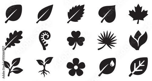 Plant leaves and nature icons set showcasing various botanical elements and symbols of growth in a minimalist black silhouette style.