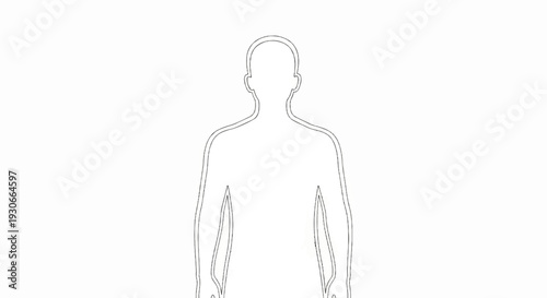 Outline of a human body, isolated on white, with two subtle internal lines