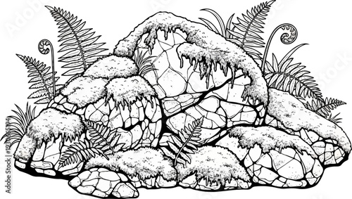 Mossy rocks with ferns sprouting from crevices and edges