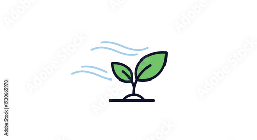 A green plant sprout with blowing wind.