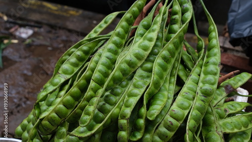 Принти на полотні Fresh Petai or Stinky Beans that is being sold in the traditional market
