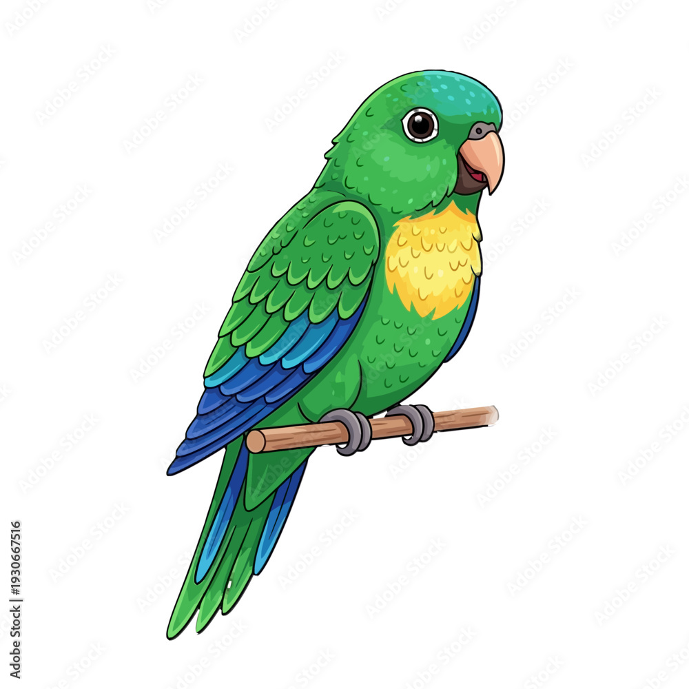 Obraz premium Beautiful green and blue parrot bird perched on a wooden branch on an isolated white background.