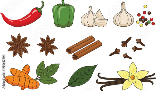 Aromatic spices and herbs collection with chili pepper garlic cinnamon star anise vanilla and turmeric vector set