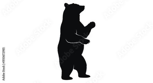 A black silhouette of a standing bear with paws raised on a white background symbolizing strength and wildlife conservation