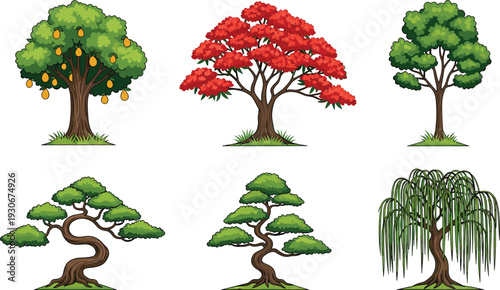 Collection of various cartoon trees including fruit tree, flowering tree, bonsai and willow isolated on white background illustration