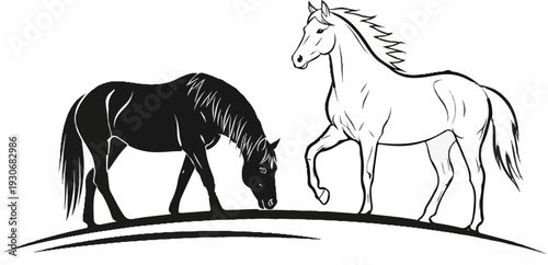 Two horses, one black and one white, stand on a curved line