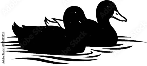 Two black ducks swimming on water with rippling waves