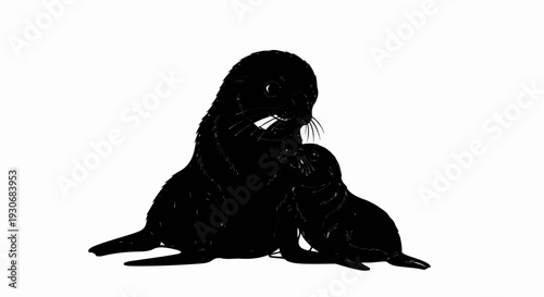 Two black seals, one large and one small, nuzzle affectionately