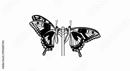 Twin butterflies, wings spread wide, perched symmetrically on a simple vertical pole