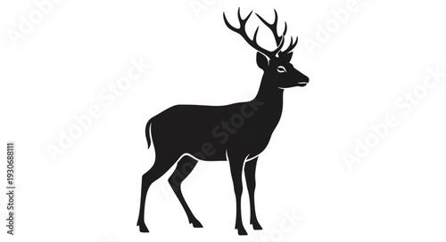 Deer Silhouette with Antlers Standing.
