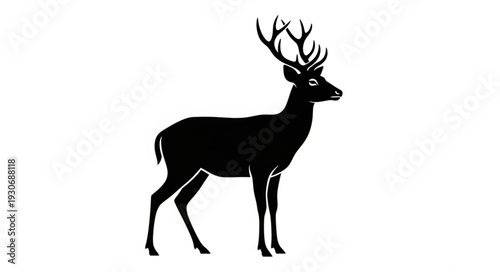 Deer Silhouette with Antlers Standing.