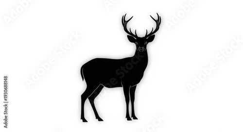 Deer Silhouette with Antlers Standing.