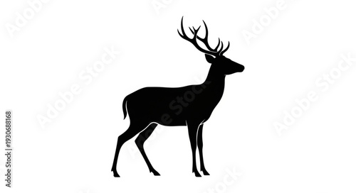 Deer Silhouette with Antlers Standing.