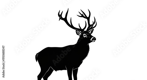 Deer Silhouette with Antlers Standing.