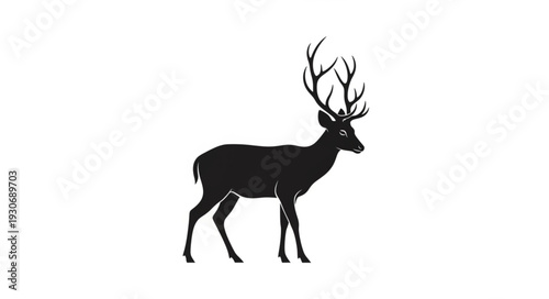 Deer Silhouette with Antlers Walking.