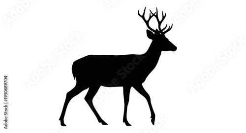 Deer Silhouette with Antlers Walking.