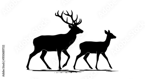 Deer Silhouette with Antlers Walking.