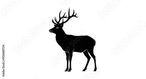 Deer Silhouette with Antlers Standing.